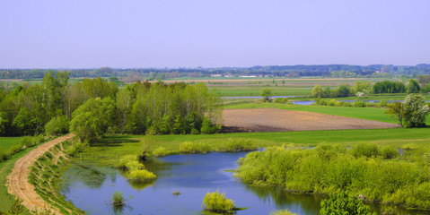 Panoramic view of wetlands covered with early spring green grass and woods in Narew River wildlife refuge in north-eastern Poland.