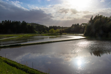 Fototapeta premium Countryside scenery of Ichihara city, Chiba prefecture, Japan