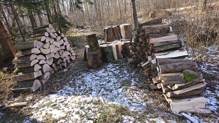 Zeit die Axt zu schwingen - Holz hacken