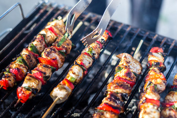 Close up pf delicious chicken breast on wooden skew with fresh vegetables, garlic, paprika fried on mangal barbeque grill