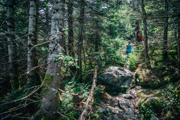 Walking through the Woods