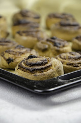 Nussschnecken 
