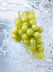 Weintrauben vom Wasser umspült
