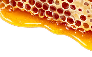 golden honey drop background texture