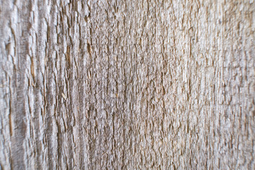 background texture of old gray wood nature abstraction