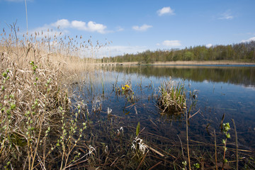 Lake in Hedeland at Copenhagen