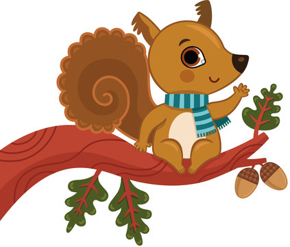 Vector Illustration of a Squirrel Sitting on the Branch.