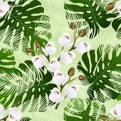 Papier Peint photo Orchidee Motif harmonieux de fleurs d& 39 orchidées, de palmiers et de feuilles de monstera sur fond vert clair, texture homogène pour la conception d& 39 impression.