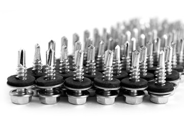 Straight rows of inverted screws with rubber gaskets and round washers on a white background.
