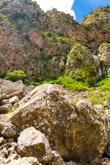 Beautiful nature in the Himalayas in spring