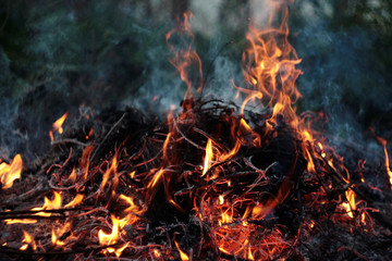 Fire, burning fire

