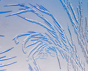 Blue drawings on the glass in the frost