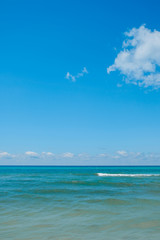 Oceanfront Beach on Sunny Day