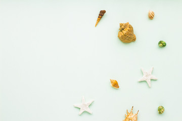 Sea shells on pastel turquoise background. Flat lay, top view