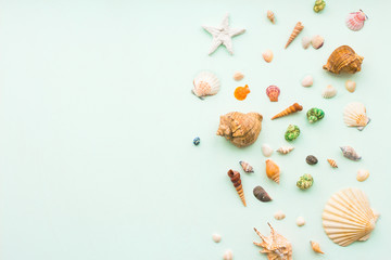 Sea shells on pastel turquoise background. Flat lay, top view