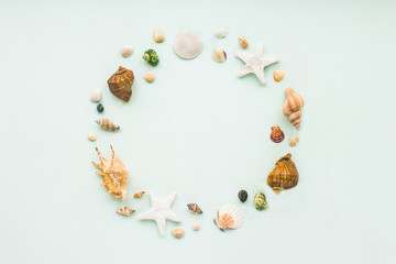 Sea shells on pastel turquoise background. Flat lay, top view