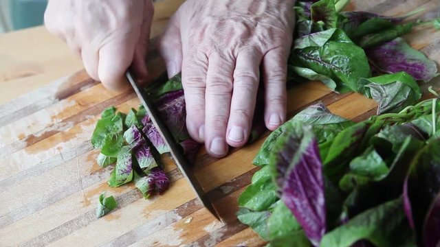 A male cook cuts fresh amaranth greens on a cutting board