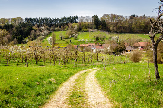 A dirt road in the early spring time in  Markgr&auml;ferland, South Germany.  The region is known for its vineyards and often called by Germans the Tuscany of Germany