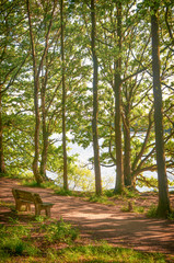 Beautiful woodland scenes convey the lovely rural landscapes of Rivington and Bolton