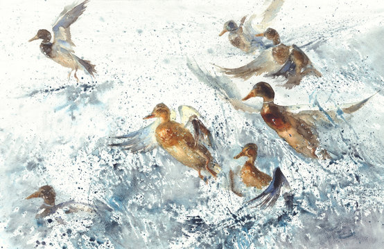a flock of ducks in the sea splatter watercolor background