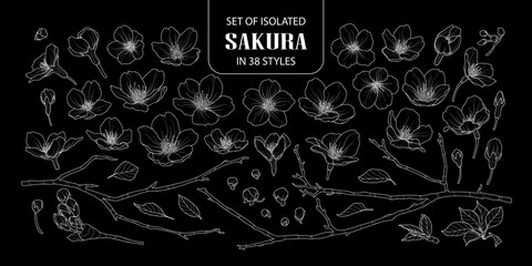 Set of isolated sakura in 38 styles. © Plawarn