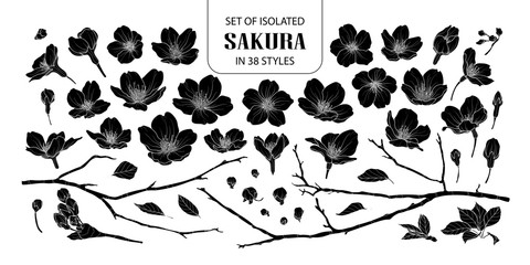 Set of isolated silhouette sakura in 38 styles.