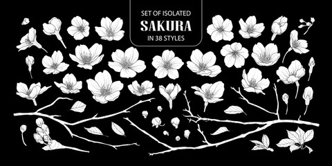 Set of isolated white silhouette sakura in 38 styles.