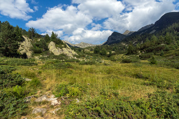 Naklejka premium Amazing Landscape of Yalovarnika peaks and Begovitsa River Valley, Pirin Mountain, Bulgaria