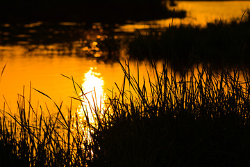 Fototapeta premium Sunset