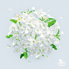 White Hydrangea flower  with leaves vector drawing