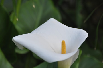 Natur © Ewa