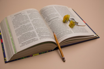 Open book with yellow flower. Dandelion.