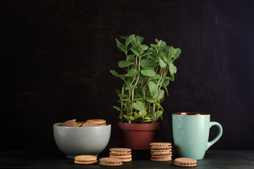 green mint