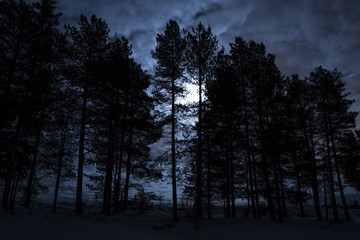Fototapeta na wymiar Night landscape