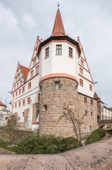 Fototapeta na wymiar Schloss Ratibor Roth