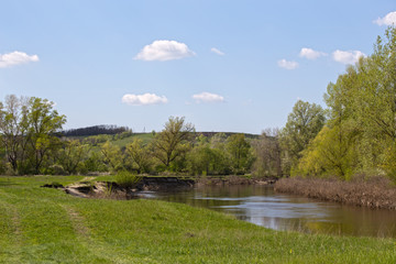 Obraz premium Small river with a high water level on a sunny day