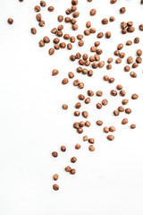 Hazelnut on white background. Flat lay, top view.