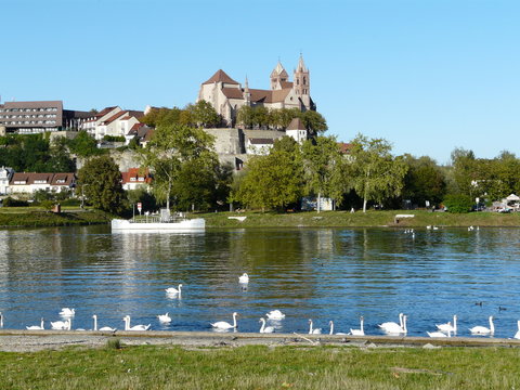 Stephansm&uuml;nster in Breisach am Rhein