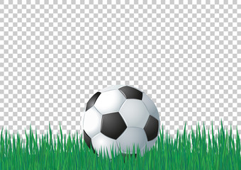 Soccer ball on green grass on transparent backdrop. Vector EPS 10