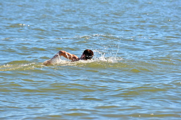 Fototapeta premium A man swims and sinks into the water at sea, goes in for sports for a healthy lifestyle.