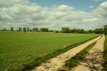 Fototapeta na wymiar Dorflandschaft, Felder im Sommer