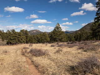 Hiking Trail Leading to Mountains, Trees, and Blue Sky  With Clouds