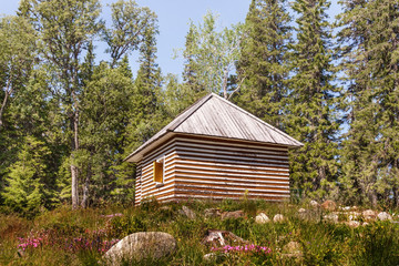 One wood facade log cabin in the forest for eco-tourism summer sunny day.