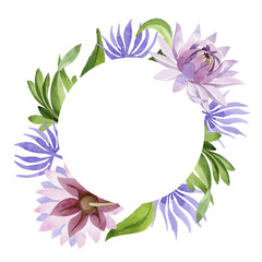 Pink water lily. Floral botanical flower. Wild spring leaf wildflower frame. Aquarelle wildflower for background, texture, wrapper pattern, frame or border.