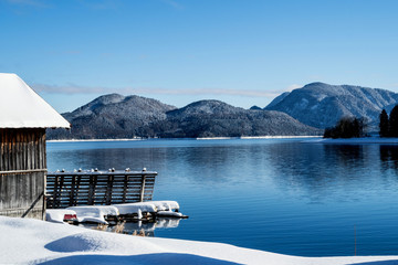 walchensee winter 
