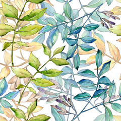Ash leaves in a watercolor style pattern. Aquarelle leaf for background, texture, wrapper pattern, frame or border.