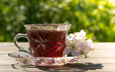 Glass cup of herbal tea and green spring garden