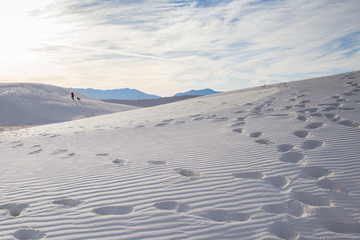 Desert White Sands