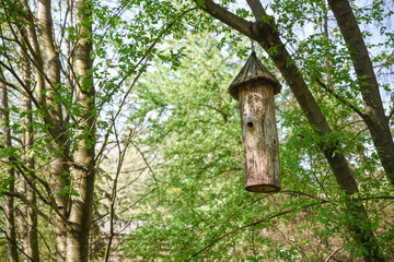 Ancient hive hanging on the tree, made from trunk of tree, named the duplyanka or bort