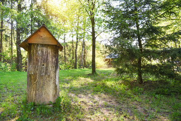 Ancient hive in the middle of forest glade, made from trunk of tree, named the duplyanka or bort